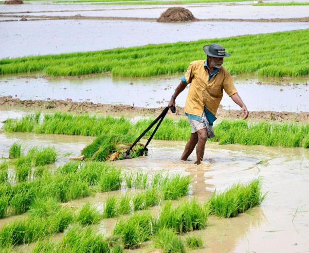 Andhra farmers get Rs 5510 crore assistance from the government