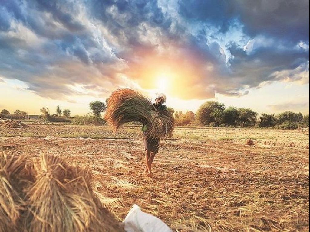 Jindal – NABARD to help boost farmers income