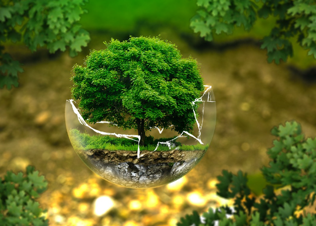 Corporates celebrate World Environment Day